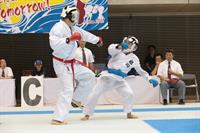 masters2014_karate_1