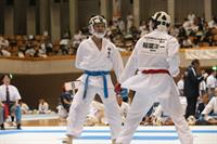 masters2014_karate_2