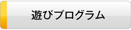 遊びプログラム