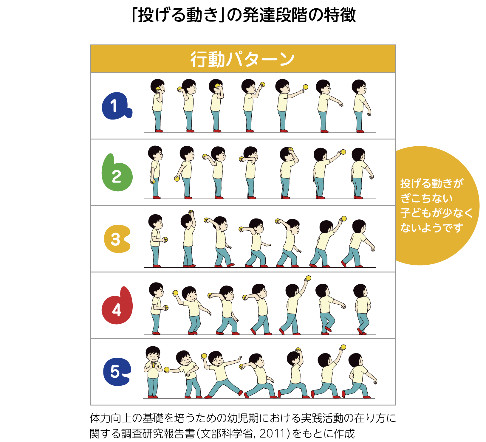 「投げる動き」の発達段階の特徴