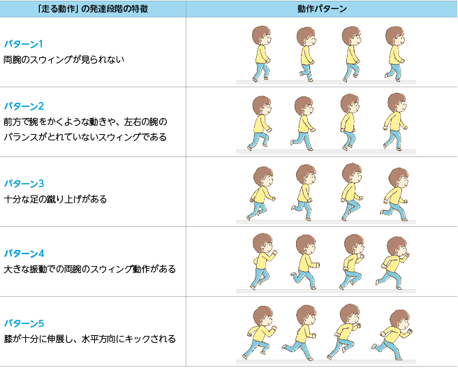 「走る動作」の発達段階の特徴