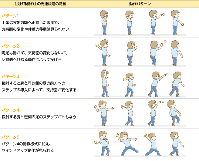 「投げる動作」の発達段階の特徴