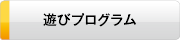 遊びプログラム