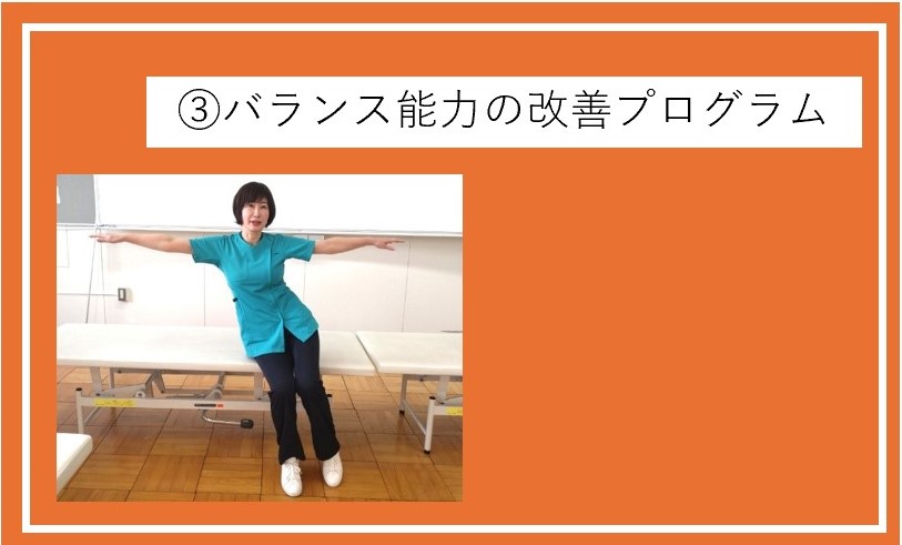 ③バランス能力の改善プログラム