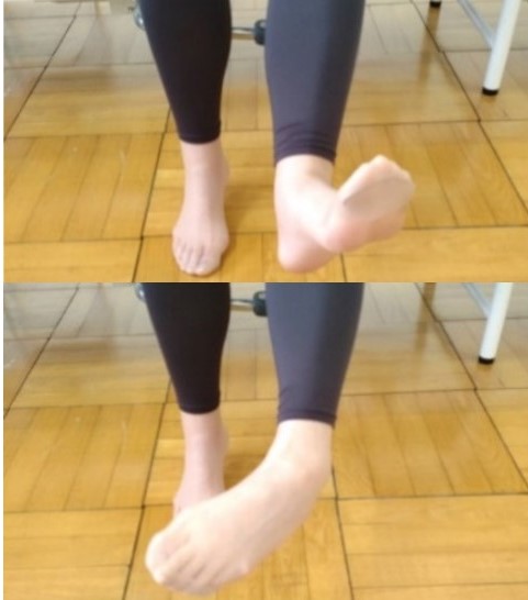 足部の柔軟性・筋力向上画像１