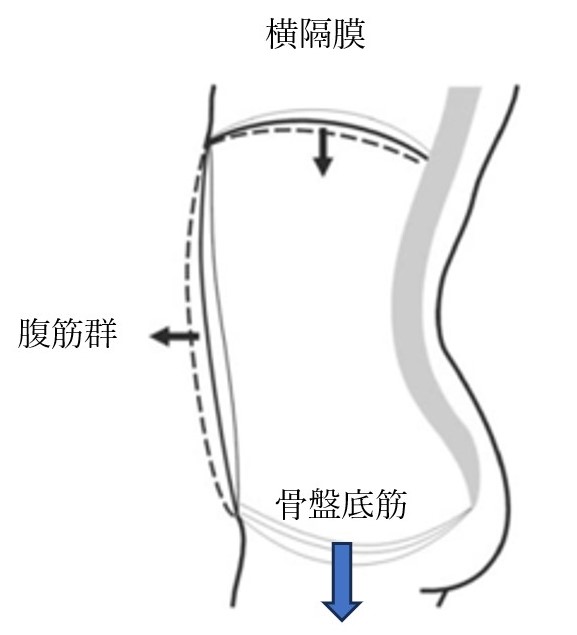 呼吸・姿勢の調整画像２