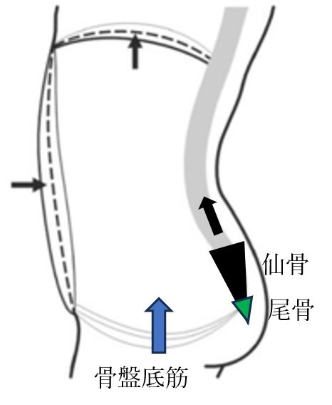 呼吸・姿勢の調整画像3