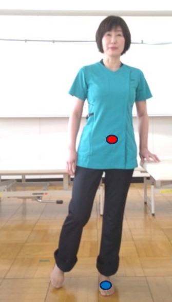 体性感覚入力画像２