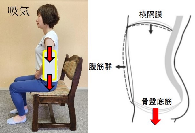 ①	求心性収縮・遠心性収縮画像１