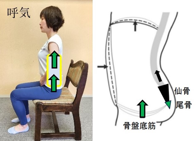 ①	求心性収縮・遠心性収縮画像２